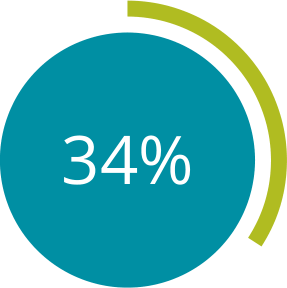 Circle graph: 34%